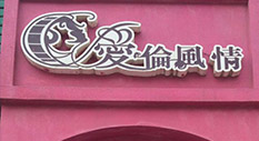(i)L(fng)鼆zӰ
